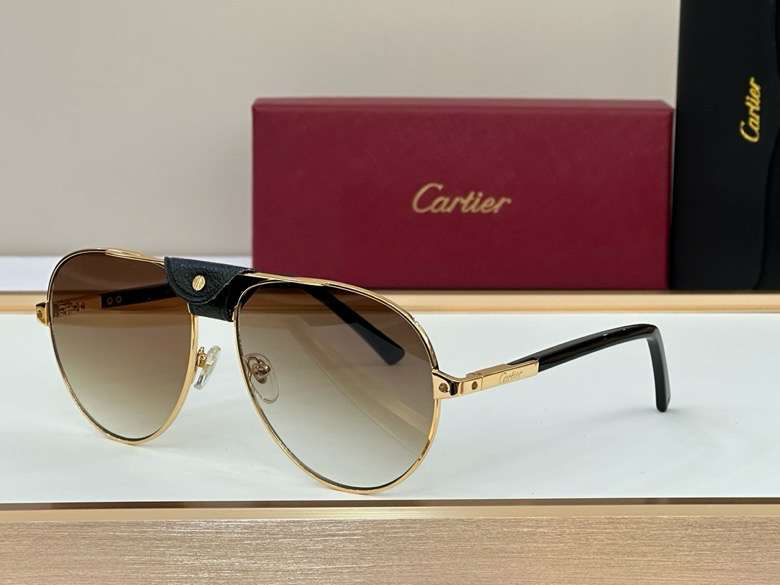 Picture of Cartier Sunglasses _SKUfw55488128fw